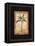 Banana Palm-Chad Barrett-Framed Stretched Canvas