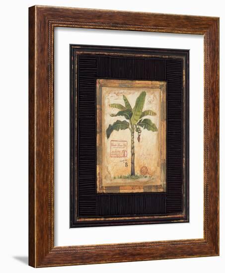 Banana Palm-Chad Barrett-Framed Art Print