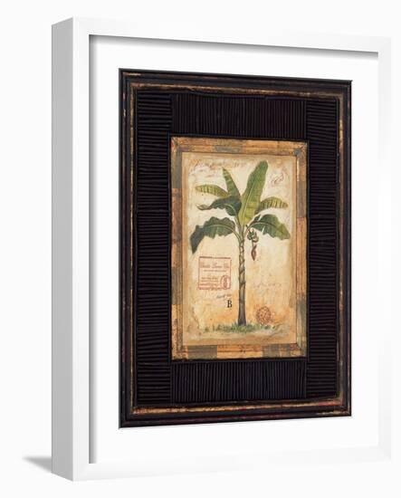 Banana Palm-Chad Barrett-Framed Art Print