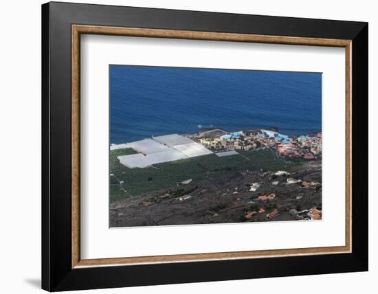 Banana plantations, El Remo, La Palma Island, Canary Islands, Spain, Atlantic, Europe-Sergio Pitamitz-Framed Photographic Print