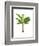 Banana Tree 1-Fab Funky-Framed Art Print