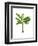 Banana Tree 1-Fab Funky-Framed Art Print