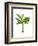 Banana Tree 1-Fab Funky-Framed Art Print