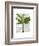 Banana Tree 1-Fab Funky-Framed Art Print