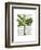 Banana Tree 1-Fab Funky-Framed Art Print