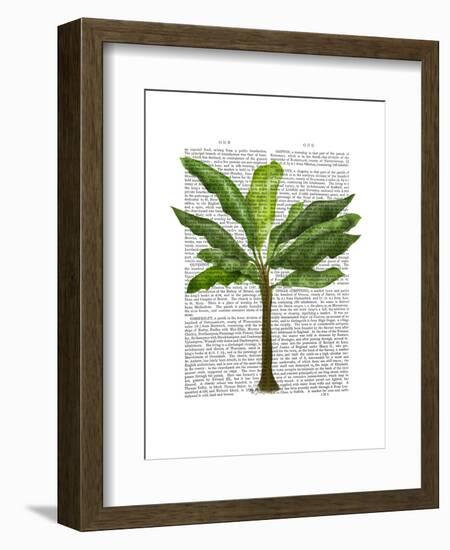 Banana Tree 1-Fab Funky-Framed Art Print