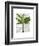 Banana Tree 1-Fab Funky-Framed Art Print