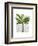 Banana Tree 1-Fab Funky-Framed Art Print