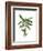 Banana Tree 2-Fab Funky-Framed Art Print