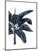 Banana Tree 3, Blue-Fab Funky-Mounted Art Print