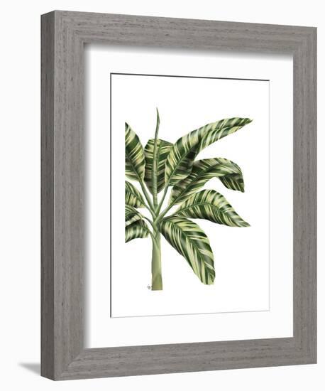 Banana Tree 3, Green-Fab Funky-Framed Art Print