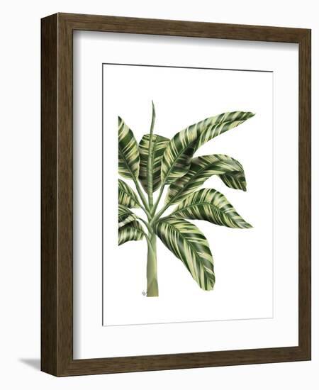 Banana Tree 3, Green-Fab Funky-Framed Art Print