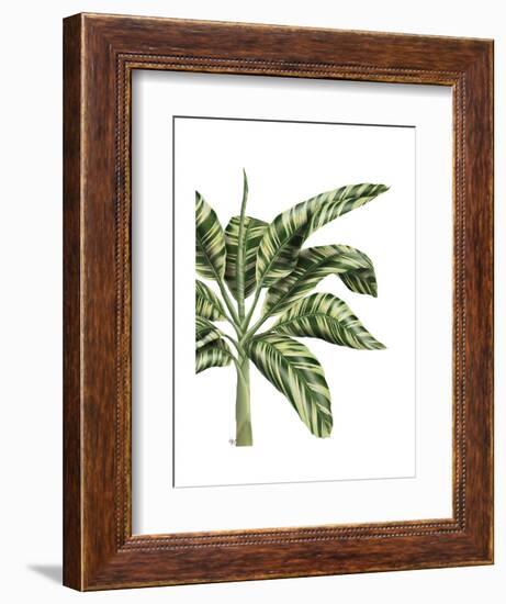 Banana Tree 3, Green-Fab Funky-Framed Art Print