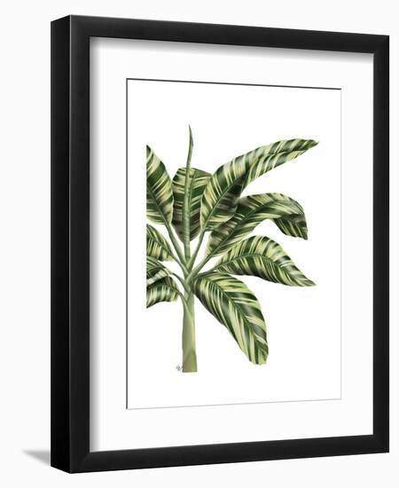 Banana Tree 3, Green-Fab Funky-Framed Art Print