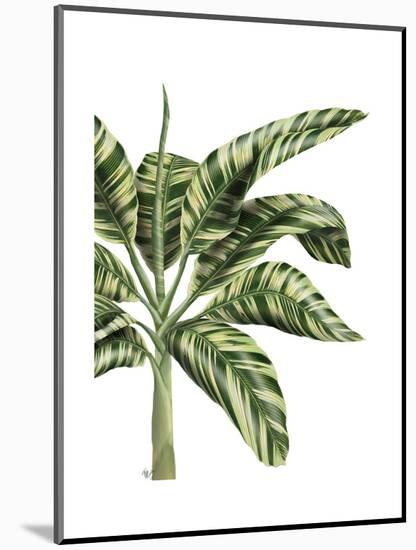 Banana Tree 3, Green-Fab Funky-Mounted Art Print