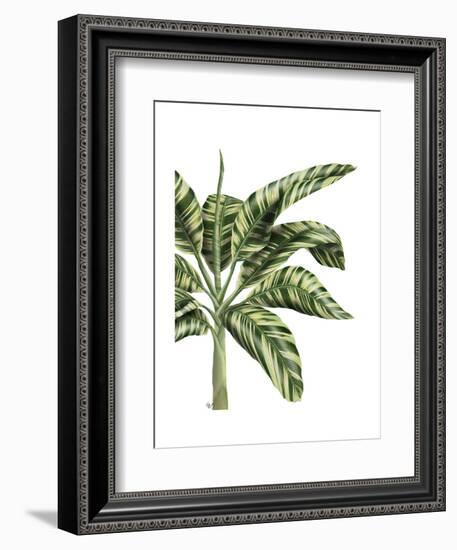 Banana Tree 3, Green-Fab Funky-Framed Art Print