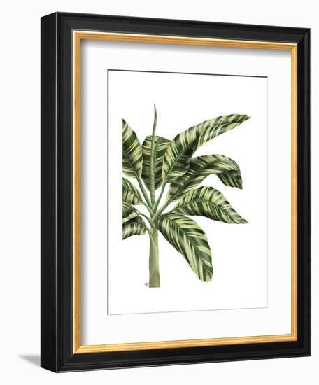 Banana Tree 3, Green-Fab Funky-Framed Art Print