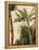 Banana Tree, C.1865-Frederic Edwin Church-Framed Premier Image Canvas