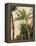 Banana Tree, C.1865-Frederic Edwin Church-Framed Premier Image Canvas