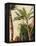 Banana Tree, C.1865-Frederic Edwin Church-Framed Premier Image Canvas