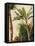 Banana Tree, C.1865-Frederic Edwin Church-Framed Premier Image Canvas