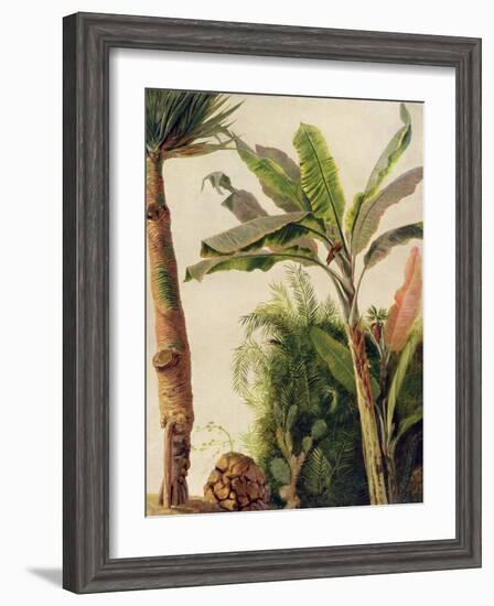Banana Tree, C.1865-Frederic Edwin Church-Framed Giclee Print