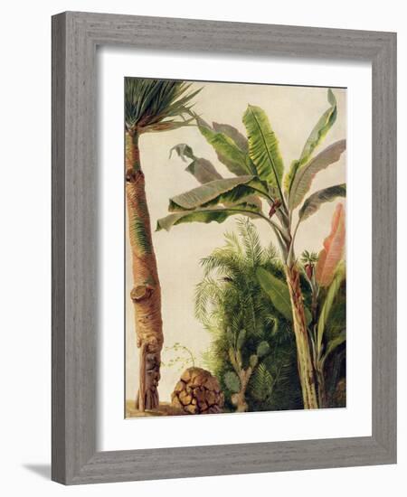 Banana Tree, C.1865-Frederic Edwin Church-Framed Giclee Print