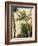 Banana Tree, C.1865-Frederic Edwin Church-Framed Giclee Print