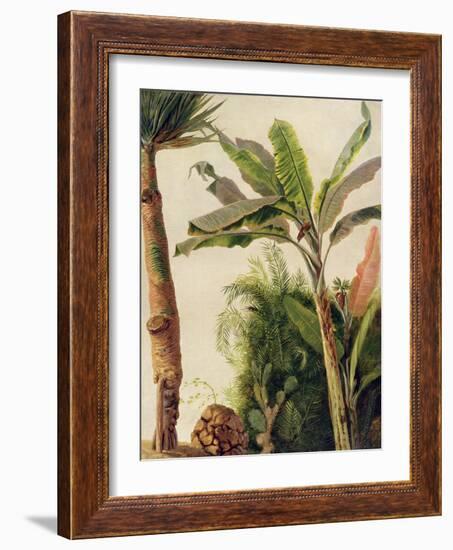 Banana Tree, C.1865-Frederic Edwin Church-Framed Giclee Print