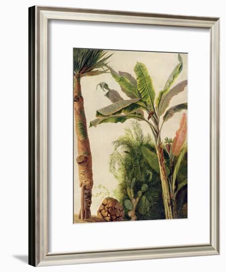 Banana Tree, C.1865-Frederic Edwin Church-Framed Giclee Print