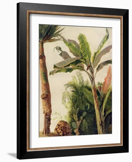 Banana Tree, C.1865-Frederic Edwin Church-Framed Giclee Print