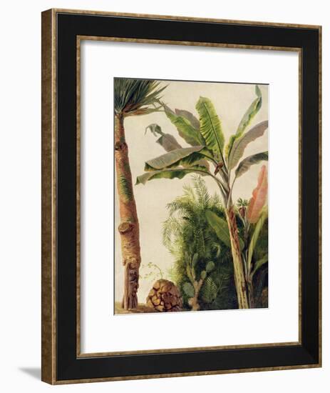 Banana Tree, C.1865-Frederic Edwin Church-Framed Giclee Print