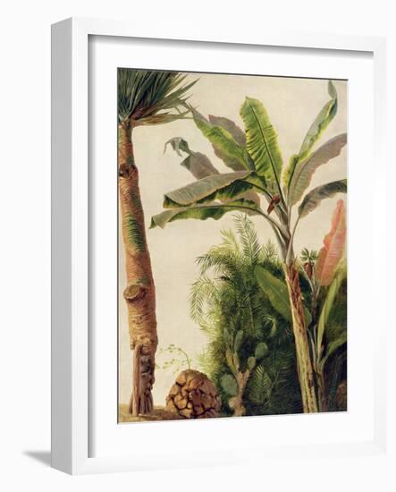 Banana Tree, C.1865-Frederic Edwin Church-Framed Giclee Print