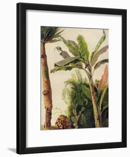 Banana Tree, C.1865-Frederic Edwin Church-Framed Giclee Print