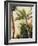 Banana Tree, C.1865-Frederic Edwin Church-Framed Giclee Print