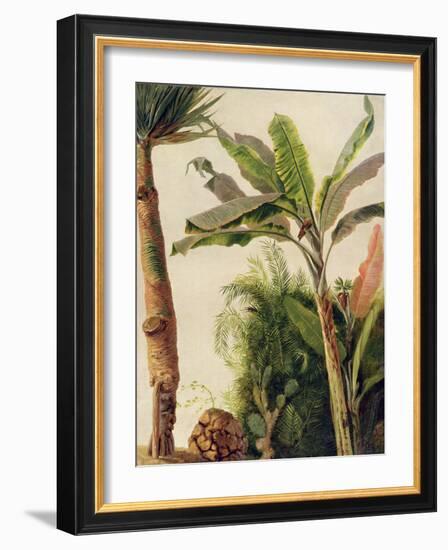 Banana Tree, C.1865-Frederic Edwin Church-Framed Giclee Print