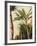 Banana Tree, C.1865-Frederic Edwin Church-Framed Giclee Print