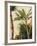 Banana Tree, C.1865-Frederic Edwin Church-Framed Giclee Print