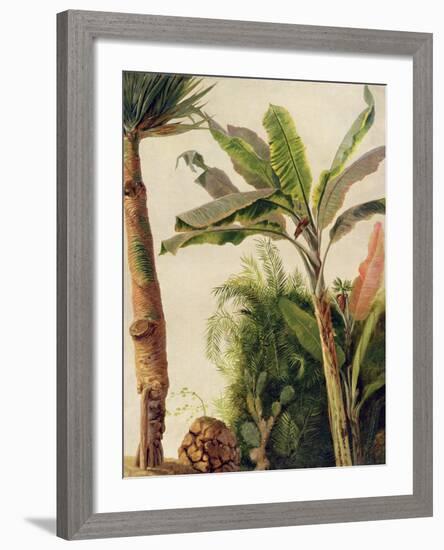 Banana Tree, C.1865-Frederic Edwin Church-Framed Giclee Print