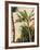 Banana Tree, C.1865-Frederic Edwin Church-Framed Giclee Print