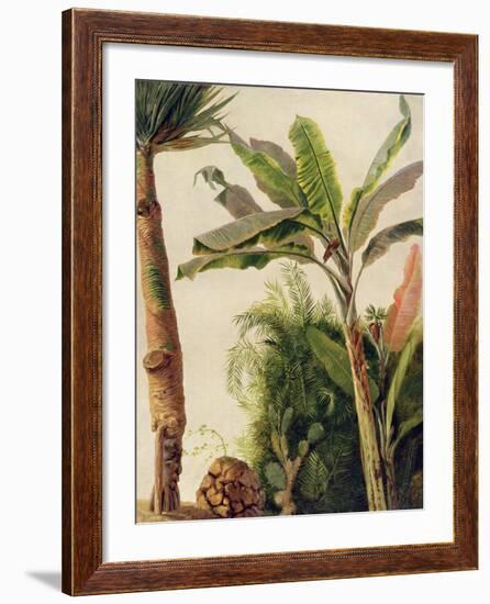 Banana Tree, C.1865-Frederic Edwin Church-Framed Giclee Print