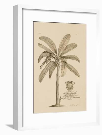 Banana Tree-Porter Design-Framed Giclee Print