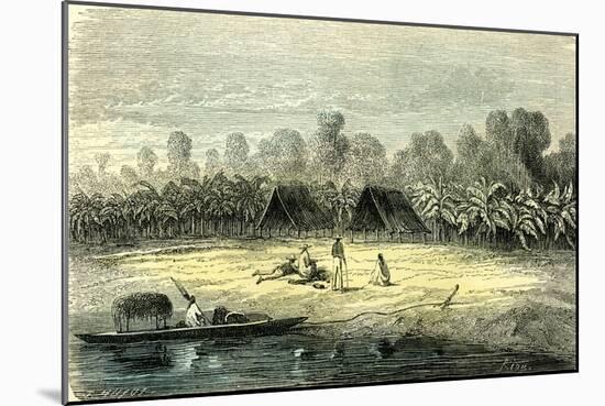 Banana Trees 1869 Peru-null-Mounted Giclee Print