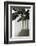 Banana Trees-George Cannon-Framed Photographic Print