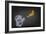 Banana-Octavian Mielu-Framed Premium Giclee Print