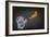 Banana-Octavian Mielu-Framed Premium Giclee Print