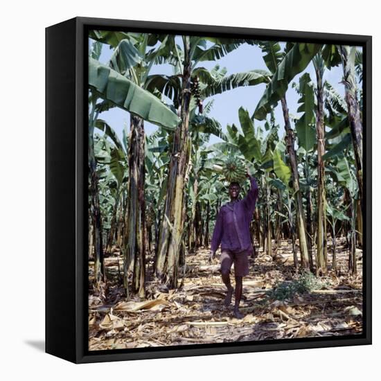 Bananas are Grown Everywhere in Uganda-Nigel Pavitt-Framed Premier Image Canvas
