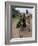 Bananas are Grown Everywhere in Uganda-Nigel Pavitt-Framed Photographic Print