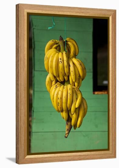 Bananas at a Fruit Stand in Dominican Republic-Paul Souders-Framed Premier Image Canvas