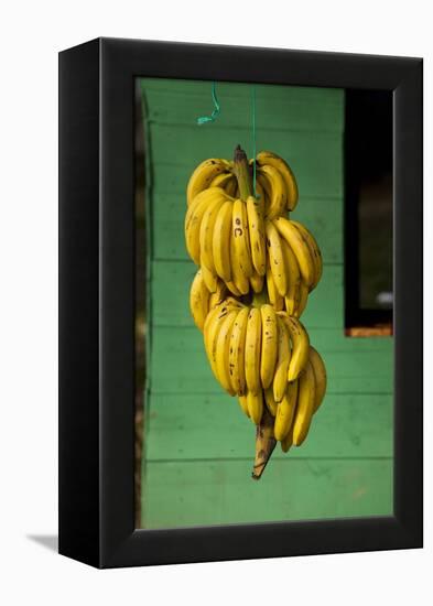 Bananas at a Fruit Stand in Dominican Republic-Paul Souders-Framed Premier Image Canvas